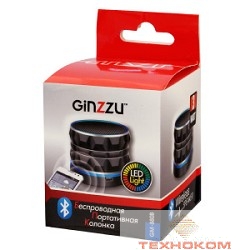Ginzzu GM-880B (3Вт, 100Гц-20КГц, 300мАч, AUX, microSD, USB-flash, FM-радио, светодиодная подсветка музыкального сопровождения, цвет: черный)